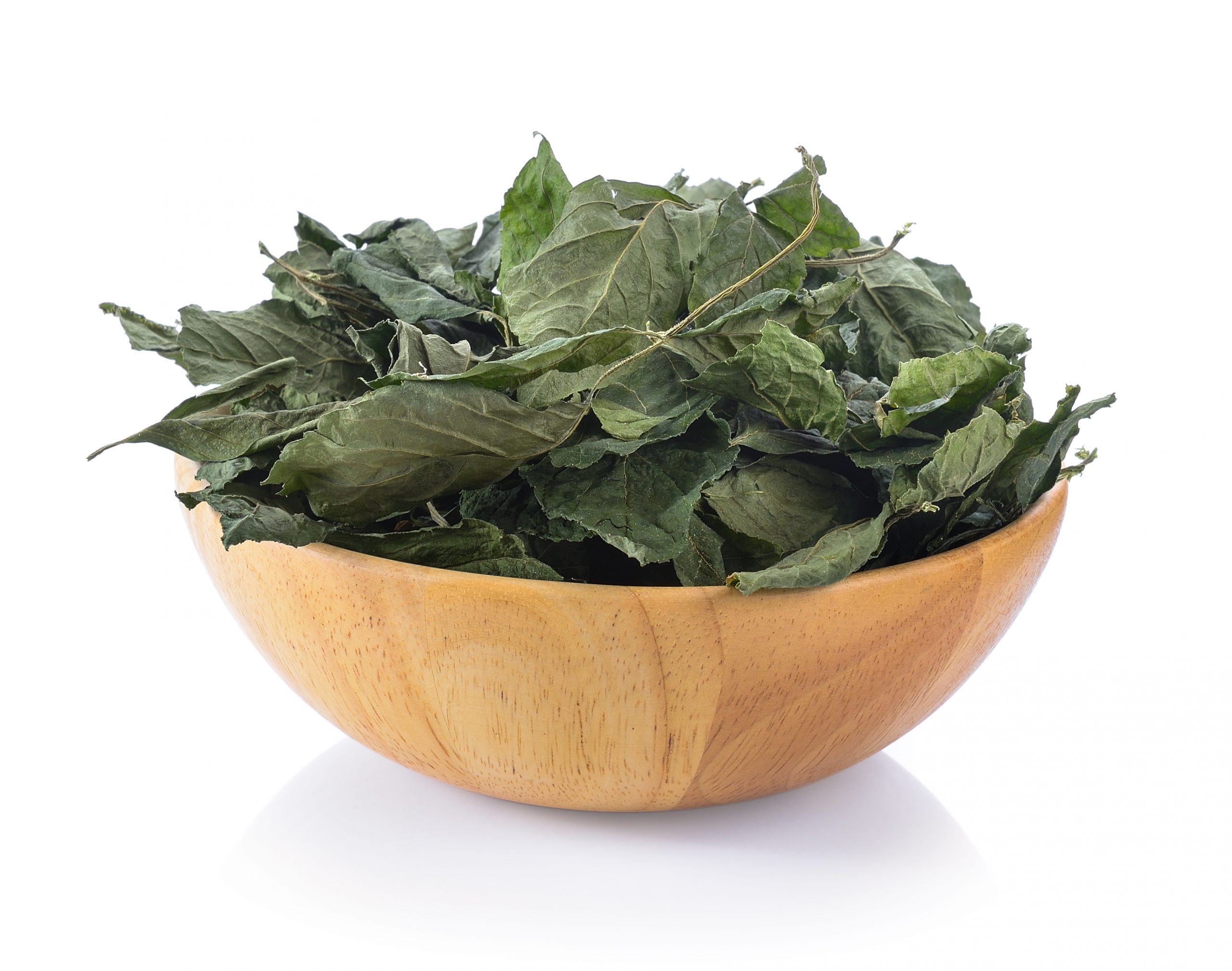 Jiaogulan-Tee